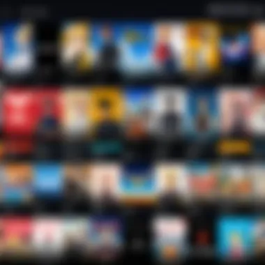 User Interface Features of Streaming Services An engaging visual representation of user interface features across popular anime streaming services