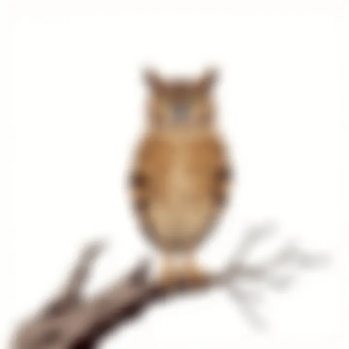 Artistic interpretation of owls symbolizing wisdom and knowledge